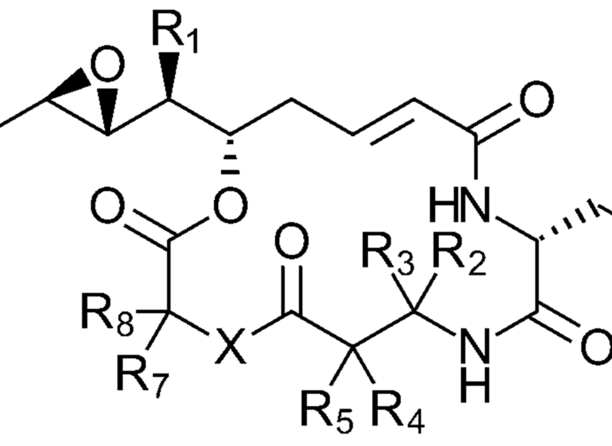 General formula of cryptophycin compound.