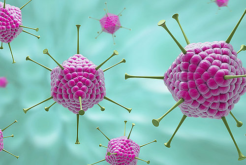 Die Abbildung zeigt eine Illustration von pinken Adeno-Assoziierten Viren (kurz: AAV) auf hellblauem Hintergrund. Foto: iStock.com/nopparit